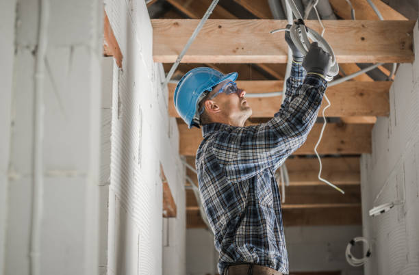 Best Electric Panel Repair  in Holts Summit, MO